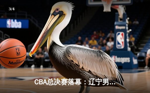 CBA总决赛落幕：辽宁男篮力克新疆，成功卫冕夺第三冠 - 3